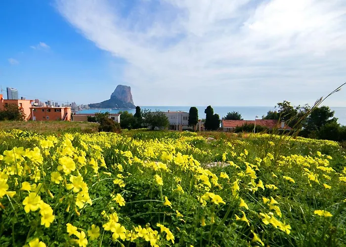 Homeincalpe Borumbot